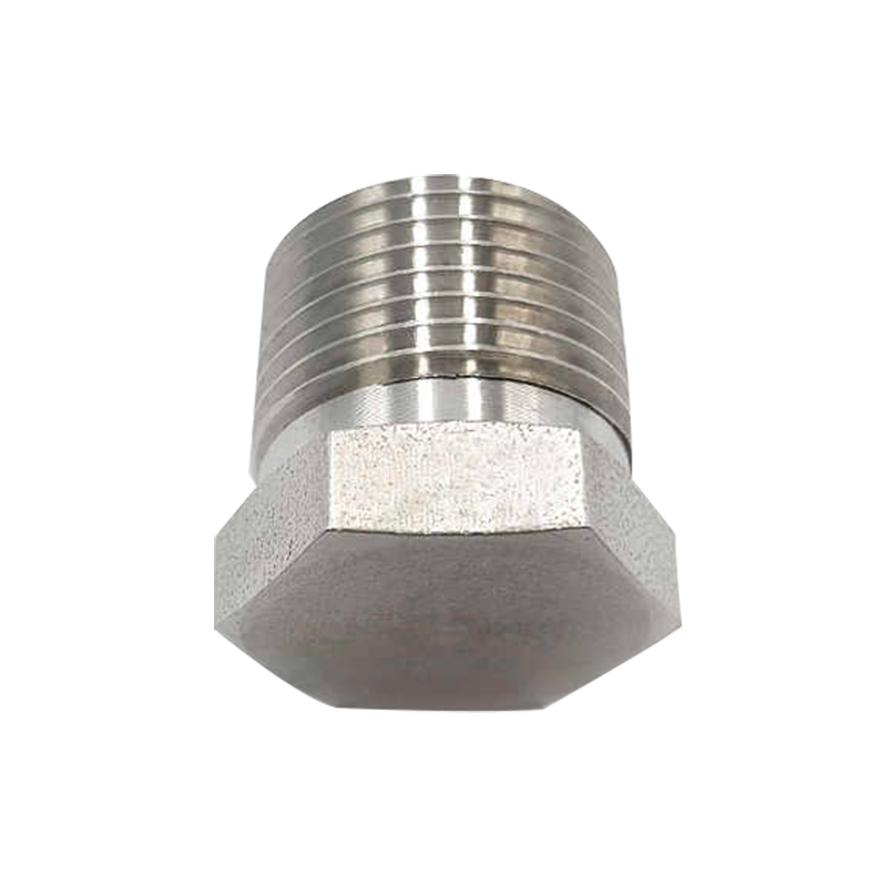 Stainless Steel Hex Plug