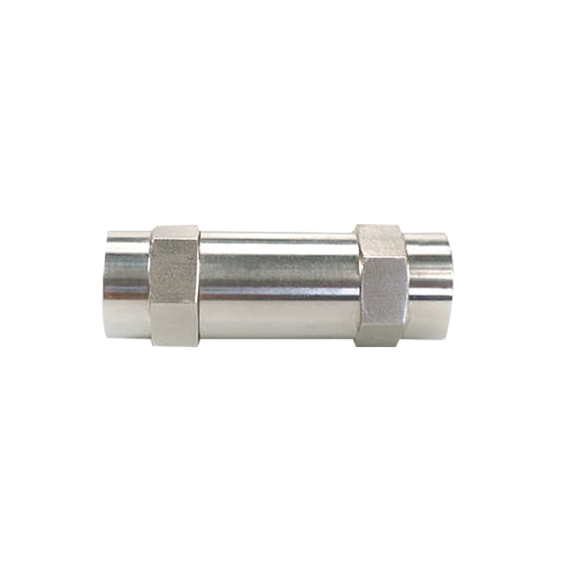 Stainless Steel Female Thread High Pressure Check Valve