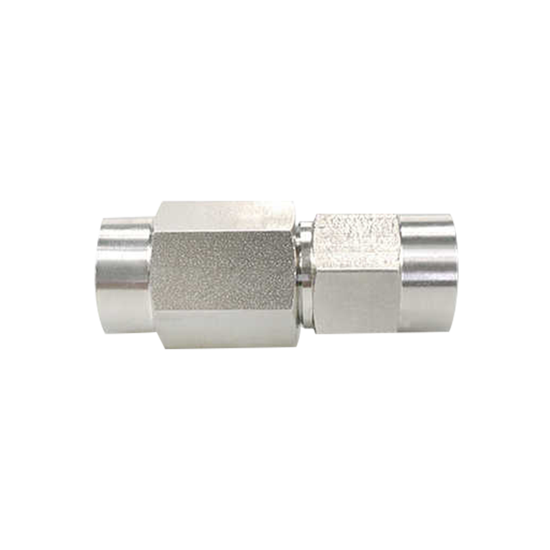 Stainless Steel Female Thread Check Valve